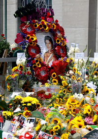 fans-forestlawn-2010-2.jpg