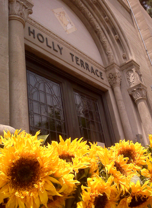 holly-terrace2.jpg