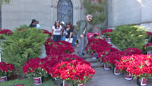 fans-forestlawn2012-1.jpg