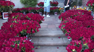 fans-forestlawn2012-2.jpg