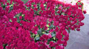 fans-forestlawn2012-6.jpg