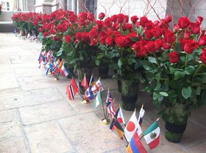MJ_Roses_2013_6.jpg