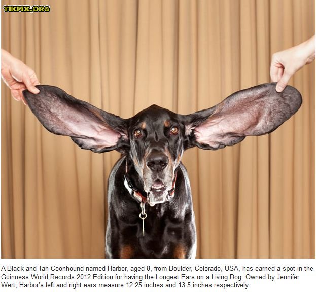 1316254636guinness_world_records_tikpix_org_4.jpg